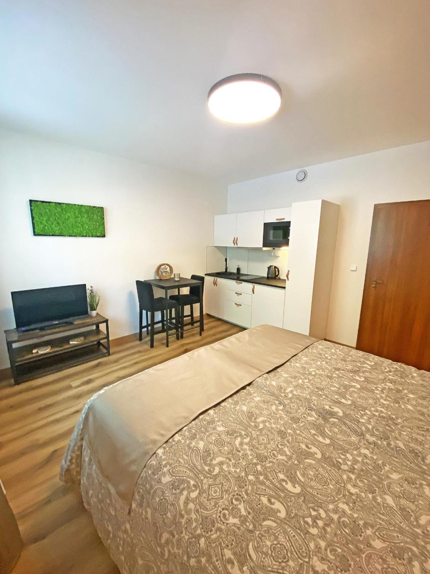 Apartmany Rezac Rokytnice nad Jizerou Extérieur photo