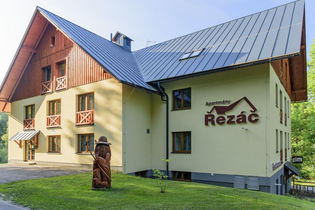 Apartmany Rezac Rokytnice nad Jizerou Extérieur photo